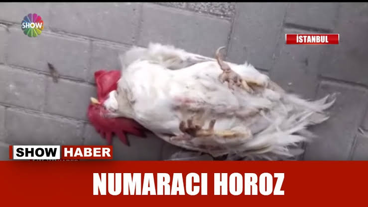 En karizmatik film karakteri